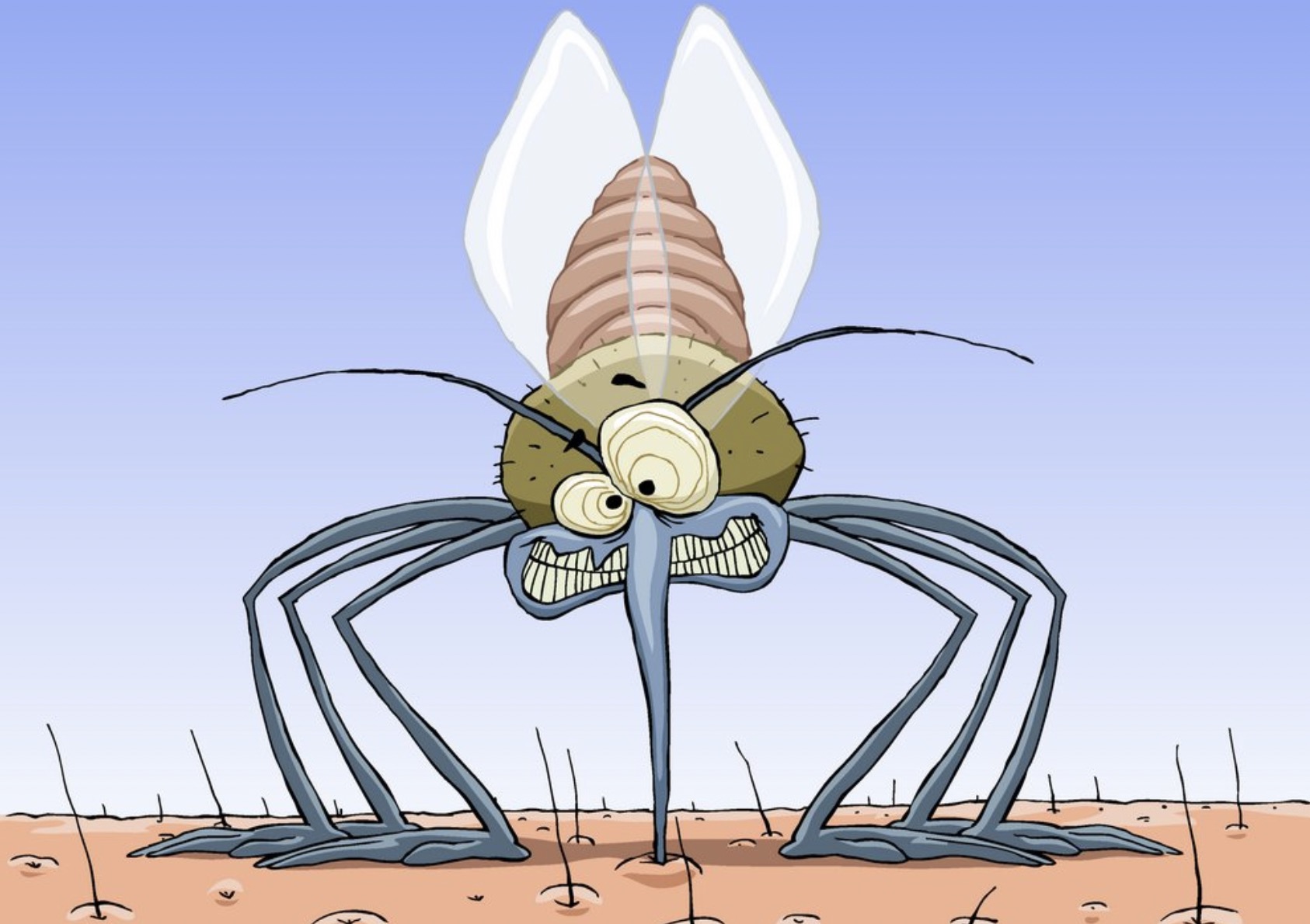 家里蚊子多?这几个地方很容易滋生!